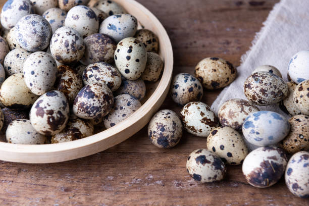 Button Quail Eggs