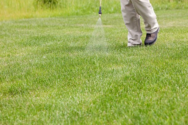 scotts crabgrass killer for lawns