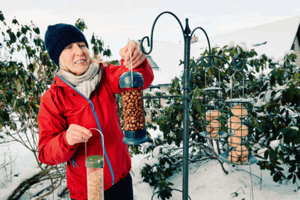 how to hang a suet feeder