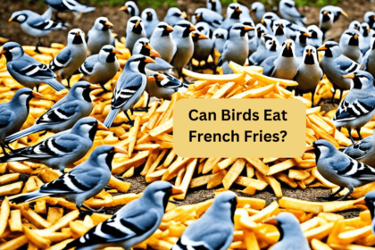 Can Birds Eat French Fries