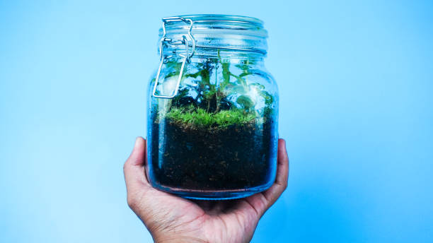 bioactive terrarium