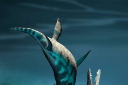 Liopleurodon prehistoric marine reptiles, illustration.